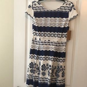 Cremieux sz 6 floral Avery dress
